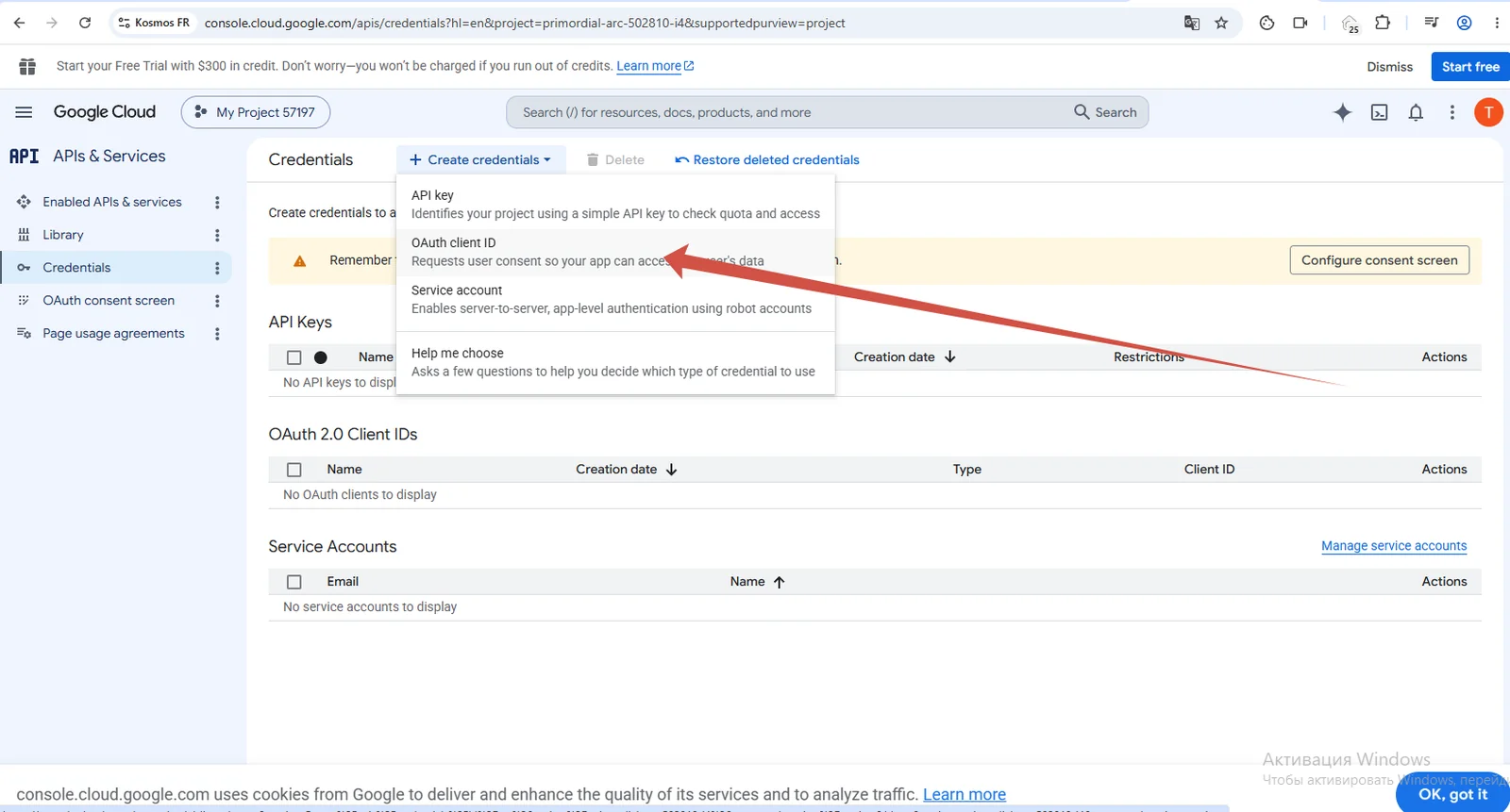 Choose OAuth client ID